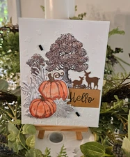 STAMPIN UP CARD KIT -TREES PUMPKINS HELLO CARD KIT MAKES 4 LL-72