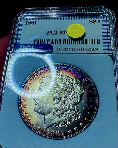 1881 MORGAN SILVER DOLLAR GEM/BU ++++++ NATURAL ELEGANT PURPLE END ROLL TONING