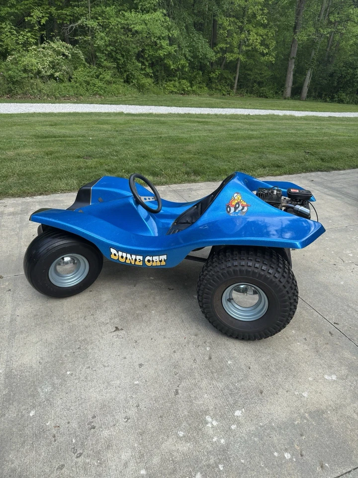 Muskin Dune Cat 1972 Foto 4 de 4