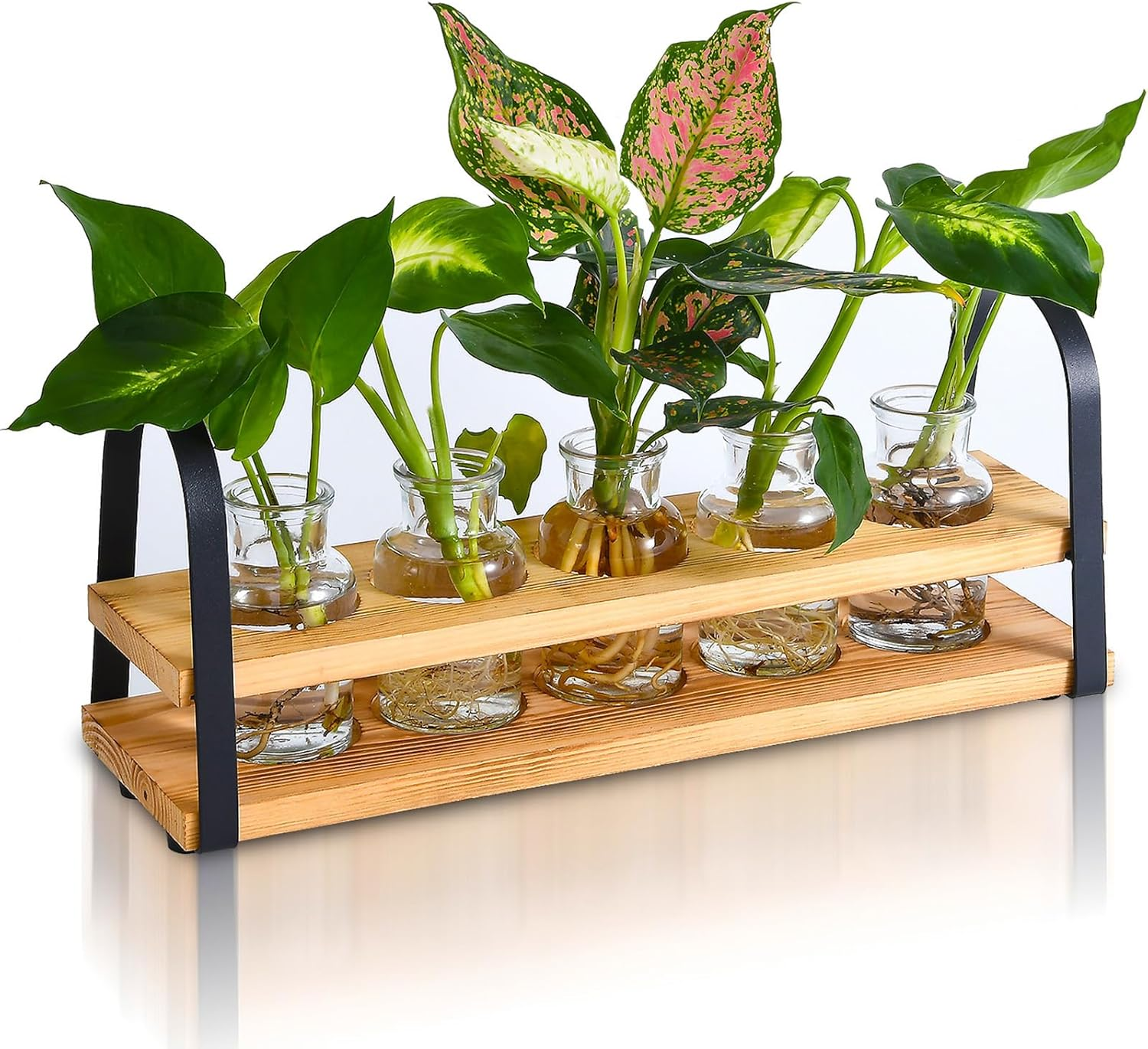 Plant Propagation Stations Wood Stand Desktop Plant Terrarium Propagating Flower