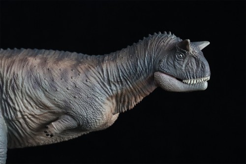 HAOLONGGOOD 1/35 Carnotaurus Dinosaur Model Abelisauridae Collection Decor Gift - Picture 11 of 33