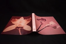 Pistils Robert Mapplethorpe Unreadable Beautiful Book