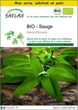 SAFLAX - Kit de culture - BIO - Sauge - 60 Graines
