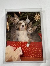 Dog & Cat Christmas Card Box Set 12 Surprise Present Tree 5x7 Made in USA