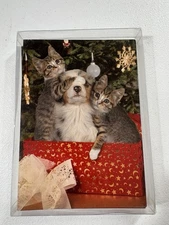 Christmas Cards Puppy & Kittens Surprise Present Tree 5x7 Box of 12 Made in USA