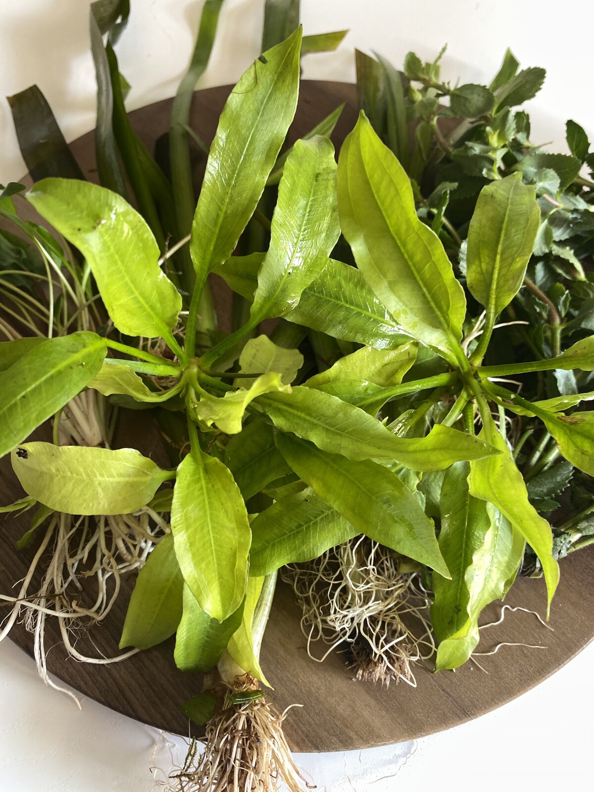 Picture 2 of 9