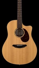 Breedlove AD25/SM (2006) - Natural #81728 with Gig Bag
