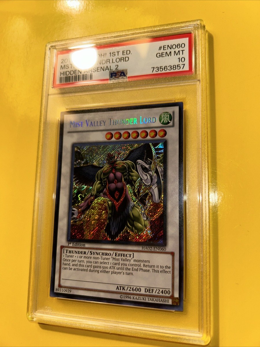 YuGiOh MIST VALLEY THUNDER LORD #HA02-EN060🔥PSA 10 GEM🔥1st ED