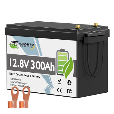 300Ah 12V Lithium Batterie LiFePO4 Akku BMS für Wohnmobil Solaranlage Solar RV