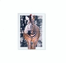 Cadre tableau toile Zèbre - Animal sauvage jungle - 70 x 50 cm