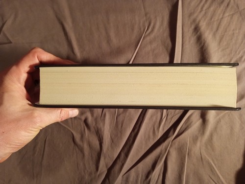 The Name of the Wind 1ST Edition 1ST Printing HC/DJ Patrick Rothfuss 938 - Imagen 9 de 15