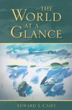 The World at a Glance (Studies in Continental Thought) - Paperback - GOOD
