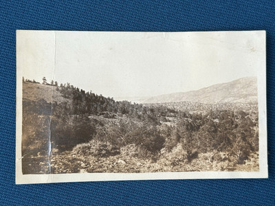 View from Road in Bear Valley California Antique 1920 Photo Lt#15