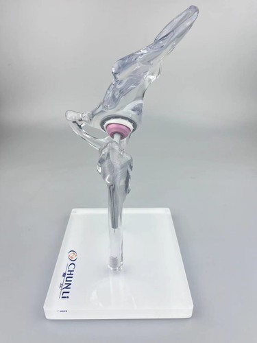 Artificial Shoulder replacement Anatomical model Knee Shoulder Elbow joint model - Picture 14 of 47