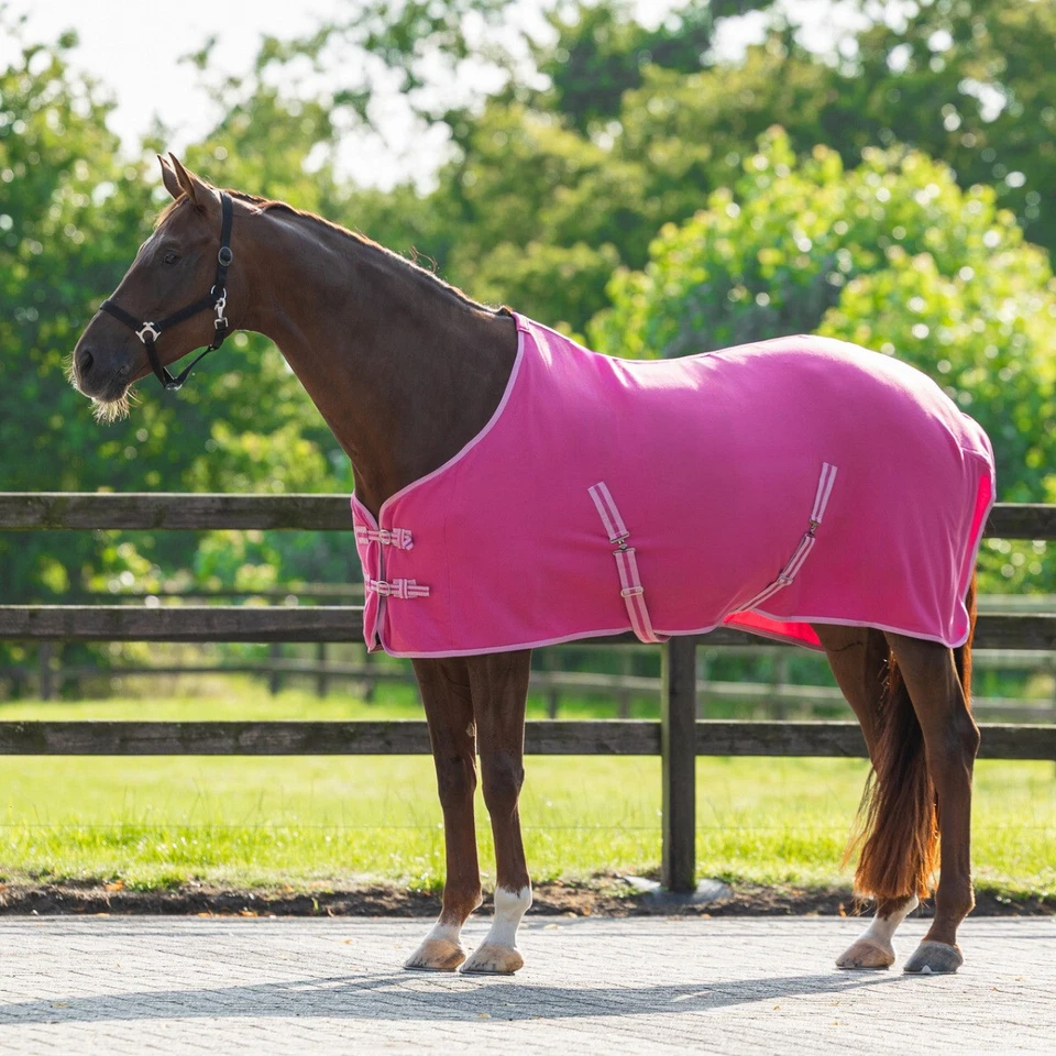 QHP Stalldecke Fleecedecke für Shetty Holzpferd Spielpferd - Bild 4 von 4