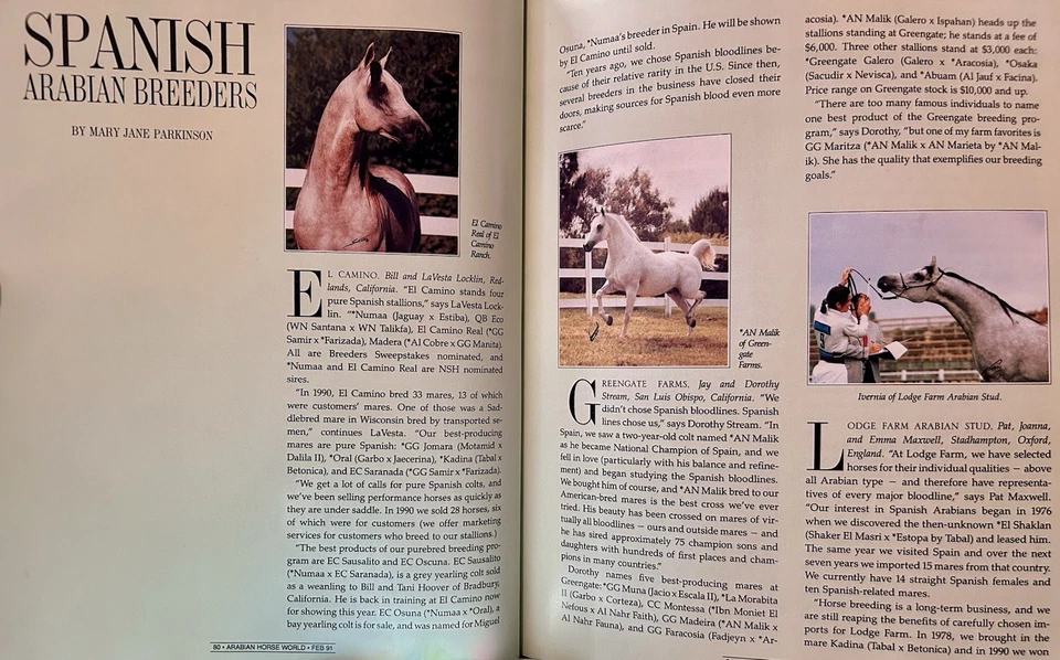 Arabian Horse World Magazine Spanish Issue 💌 February 1991 Vintage - Image 4 of 4