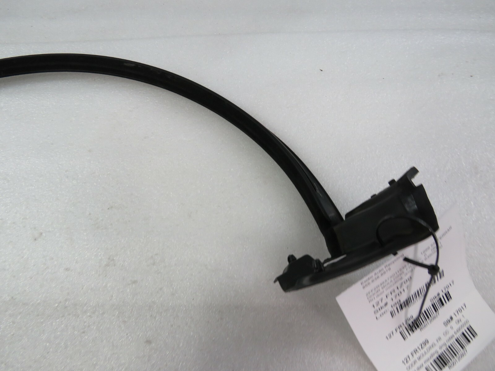 Ferrari 550, RH, Right Door Molding, Used, Dmg, P/N 64905000