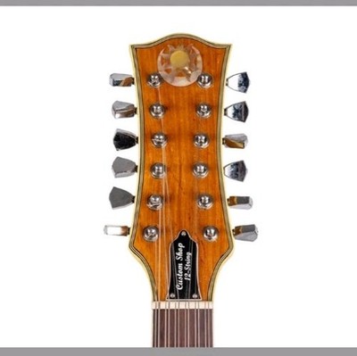 Antonio Tsai Custom 12 String Electric Guitar 2010 | eBay