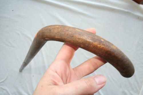 ANTQ HORN TIP CANE DANCING FIRE ARTWORK GENTLE CURVE HANDLE Jr CHARLIE FAST ART - Picture 17 of 18