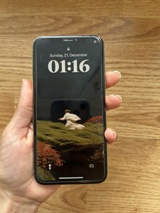 Apple iPhone XS 64GB Silber/Weiß, ohne Simlock