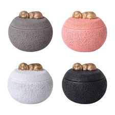 Pet Cremation Urn Cement for Dog Desktop Decor Supply Container with Lid Animal