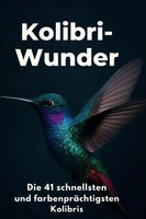 Emma Schmitt | Kolibri-Wunder | Buch | Deutsch (2025) | 88 S. | Flipflop