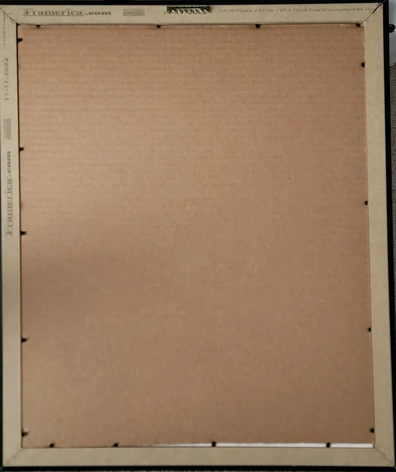 🔥 Foto firmada/autografiada por Bernie Kosar 11 X 14 en marco marrón certificado de autenticidad JSA Foto 3 de 4