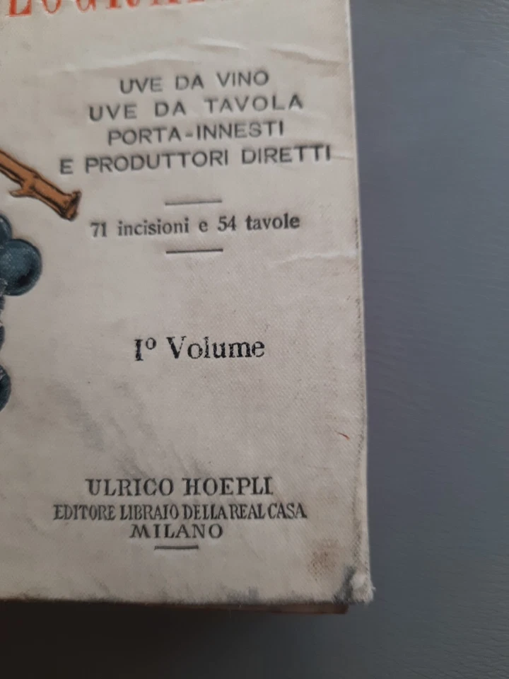 MANUALI HOEPLI - AMPELOGRAFIA PRIMO VOLUME - GIROLAMO  MOLON 1906 - Immagine 2 di 4