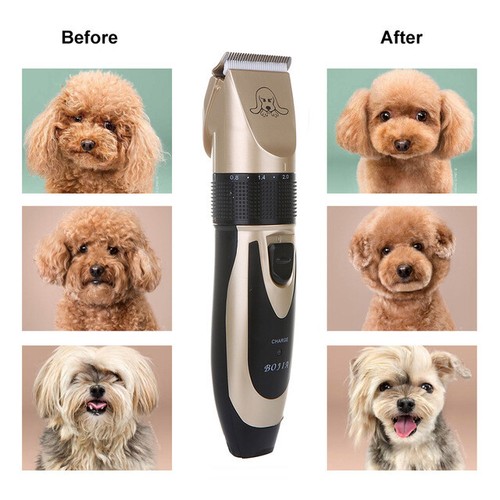 Máquina Cortadora De Para Cortar Pelo De Perros Eléctrica Recargable Calidad - Imagen 10 de 12