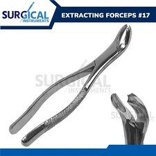 Extracting Forceps Dental Surgical Instruments #17 Stainless Steel German Grade