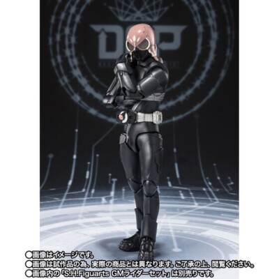 DESIRE GRAND PRIX ENTRY RAISE SET 未使用 SH Figuarts Desire Grand Prix Entry Raise Set