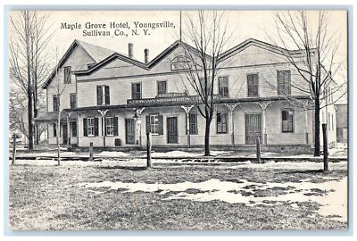 1908 Maple Grove Hotel & Restaurant Youngsville Sullivan Co. New York Postcard