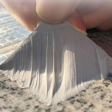 Butyl Sealant Tape Waterproof Strong Flashing Roof Repair Leak Fix 5-30cm x 5m