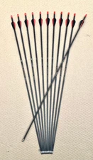 Target  Archery Easton ACG  Arrows Excellent Condition