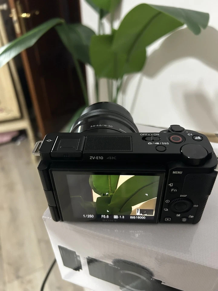 Sony ZV-E10, foto 2 de 5