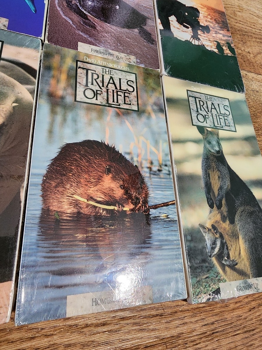 その他 Trials of Life: Finding the Way [VHS] その他 Trials of Life: Finding the Way [VHS] Trials of Life