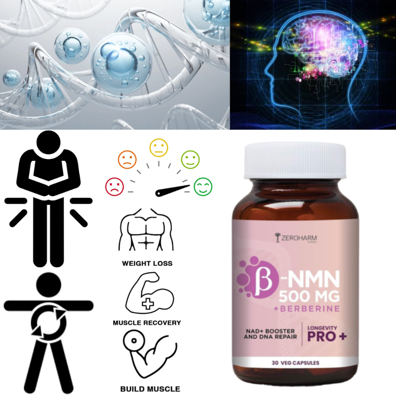 NAD+ Supplement for Anti Aging, Energy Focus Booster Nicotinamide Riboside 30cap