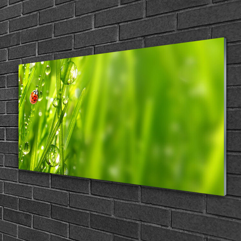 Tableau sur verre déco moderne 100x50 Nature Herbe Coccinelle salon