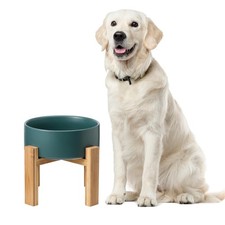 LIONWEI LIONWELI Raised Ceramic Large Dog Bowl - Heavy - Green HT06WL-Q-H