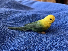 Green Budgie by Safari Ltd/New w/tag/toy/display/cake/bird/parakeet/Parakeet