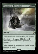 Shamanic Revelation #237 MTG Bloomburrow NM X1