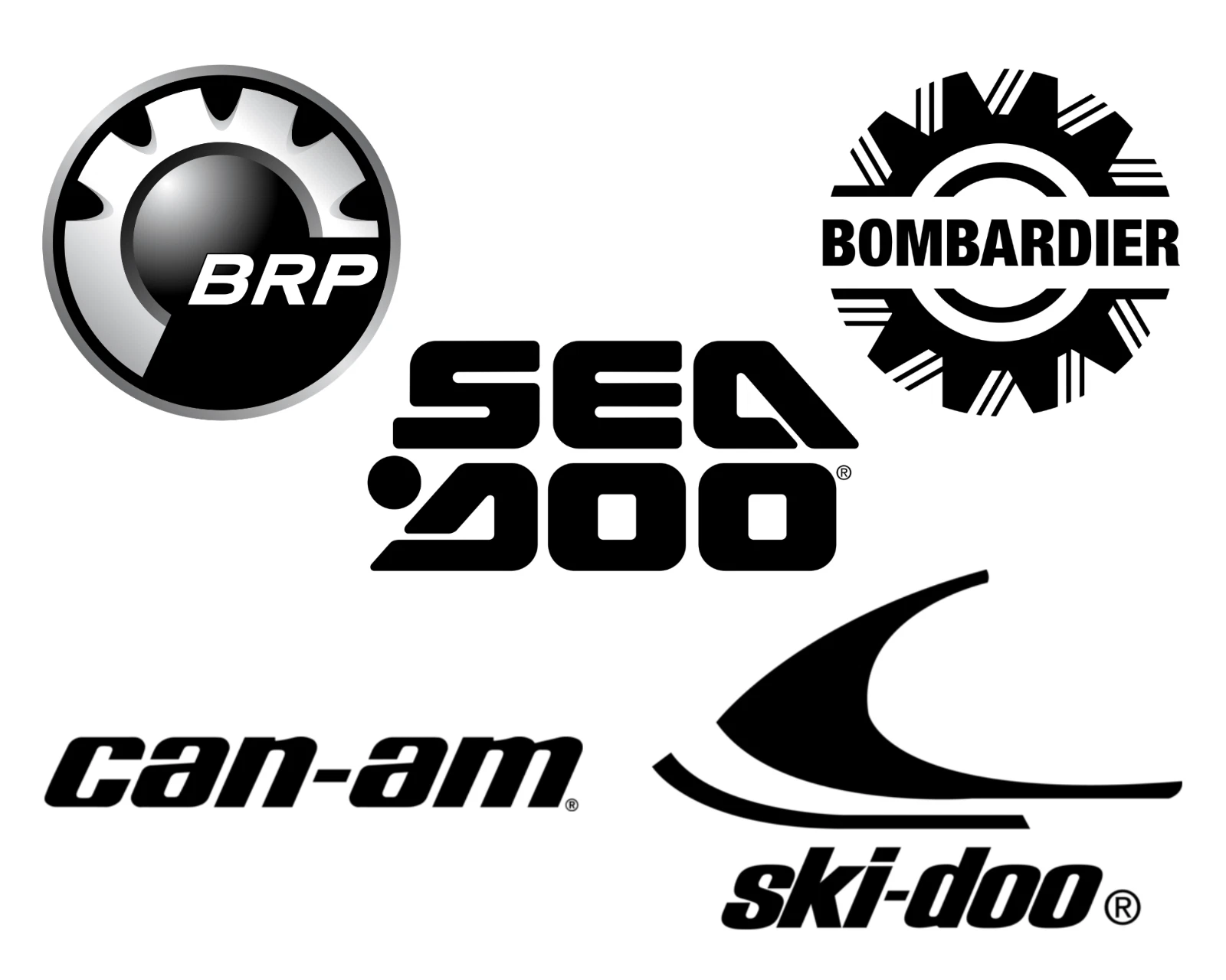 BRP OEM O-RING 420950360