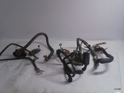1988-1993 Honda TRX300 TRX300FW Fourtrax Main Wiring Harness Shindengen CDI OEM