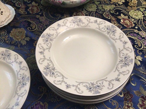 6 Vtg Johann Haviland, Bavaria RHINELAND RIM SOUP, PASTA BOWLS, DANUBE - Picture 5 of 12