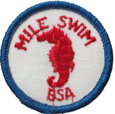 Scout BSA Mile Swim Emblem Patch Boy Scout Award Blue Bdr (AR2924)