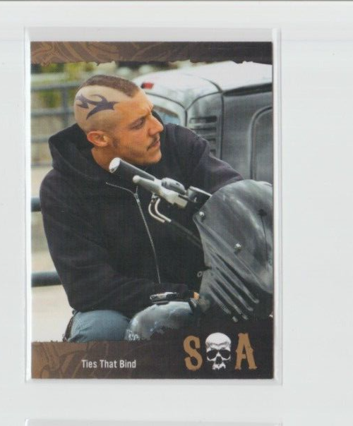 Cryptozoic Sons of Anarchy Season 4 & 5 Base Trading Card Theo Rossi Juice #28
