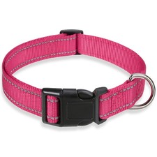 Reflective Dog Collar with Buckle Small :Width 5/8",Neck 10-14", Hotpink