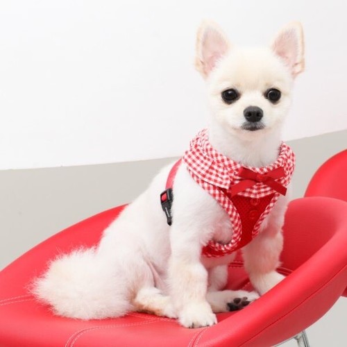 Arnés para perro cachorro malla transpirable ajustable sin tirón Vivien rojo XS S M L - Imagen 3 de 7