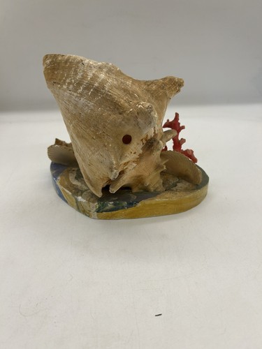 Vintage Florida Conch Shell Coral Reef Souvenir Plastic Palm Tree - Picture 3 of 12