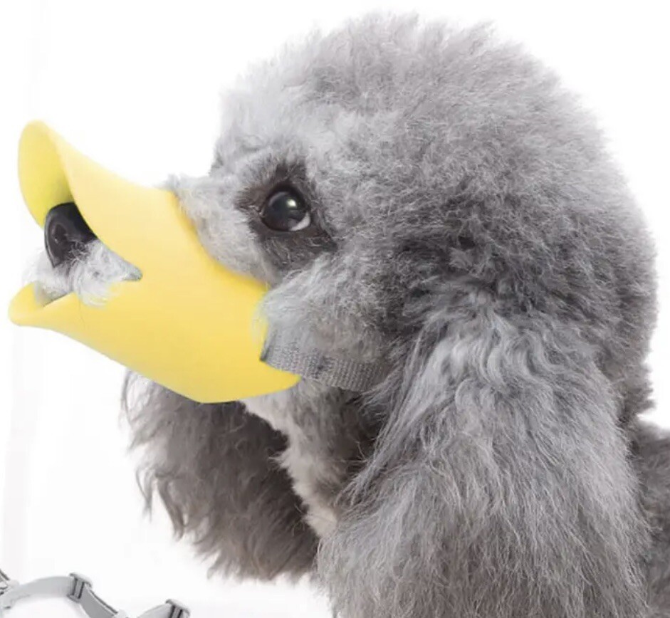 Pet Dog Muzzle Duck Mouth for Dog Anti Bite Mouth Cover Stop Bark